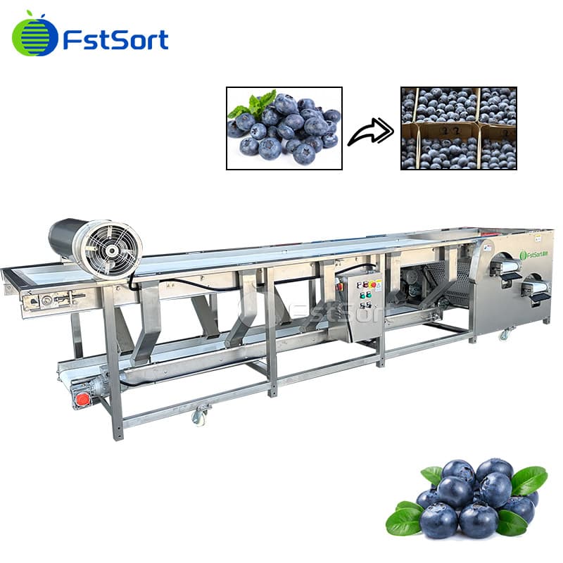 images/1760413150862blueberry processing line.jpg